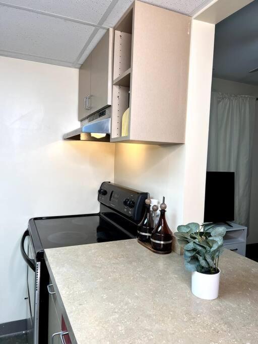 Midtown Flat Near Overton Park & Downtown ممفيس المظهر الخارجي الصورة
